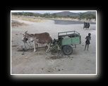 Cliquez pour agrandir